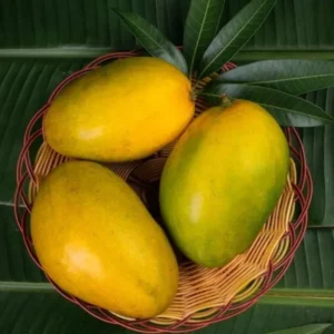 Himayath